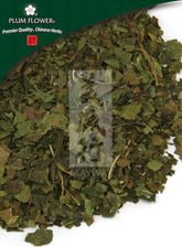 桑叶,未硫化的桑叶